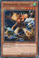 Prodigio Torbellino [SGX2-END14] Común
