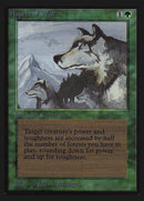 Aspect du Loup [Édition Collector]