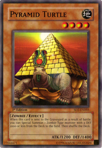 Tortue Pyramide [SD2-FR005] Commune