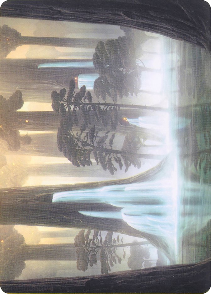 Bosquet gorgé d'eau // Bosquet gorgé d'eau [Série d'illustrations Horizons du Modern]