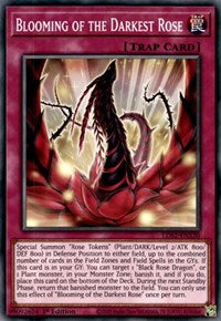 Florecimiento de la Rosa más Oscura [LDS2-SP120] Común