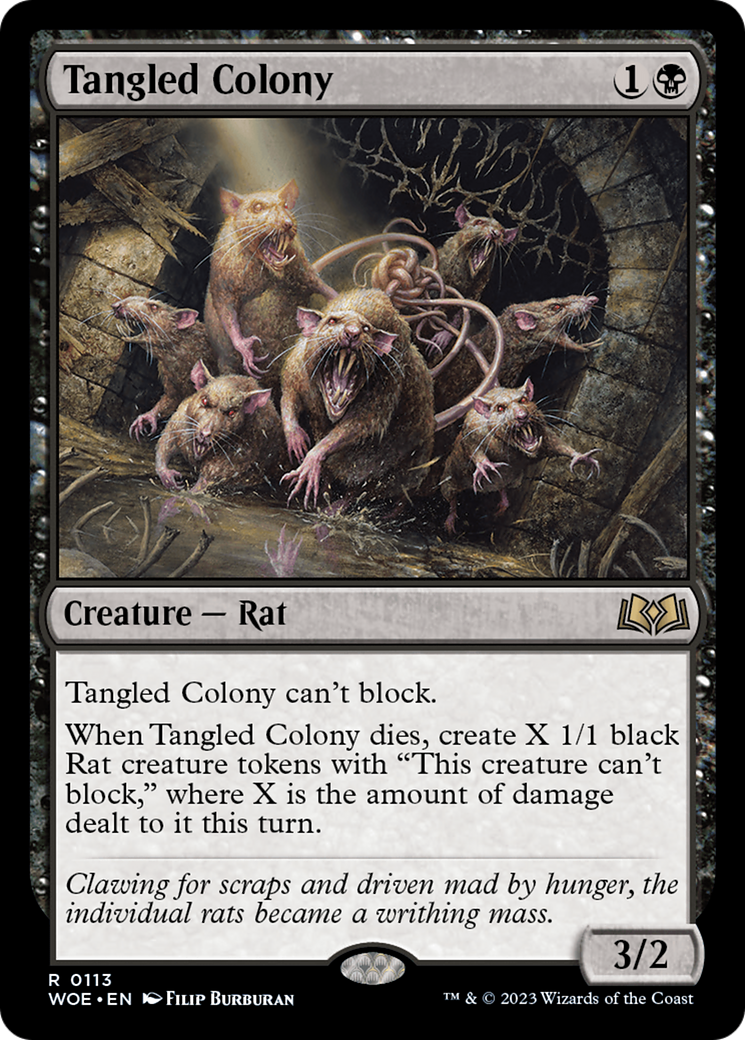 Colonie enchevêtrée [Les friches d'Eldraine]