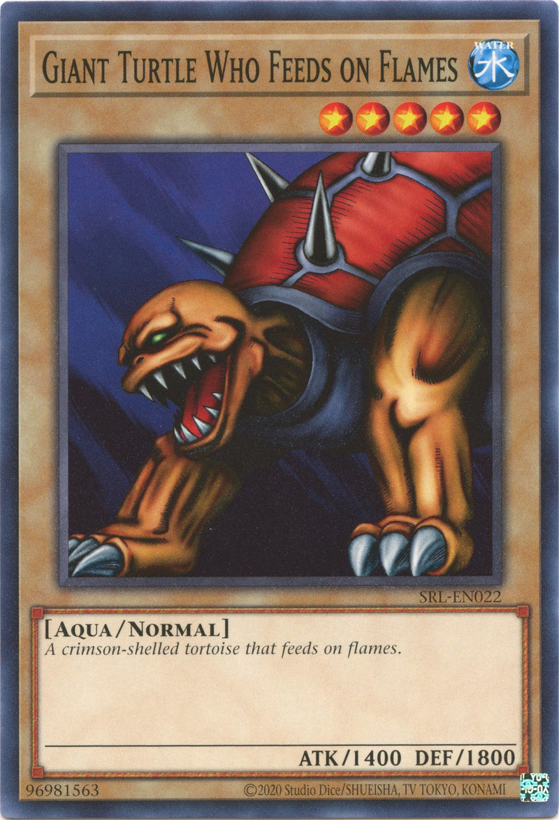 Tortuga Gigante Come-llamas (25 Aniversario) [SRL-EN022] Común