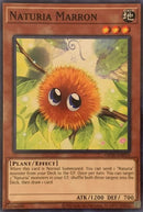 Naturia Marron [OP20-EN015] Común