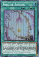 Semis de Vigne-Soleil [BODE-FR065] Super Rare