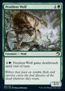 Loup pestilentiel [Innistrad : Chasse de minuit]