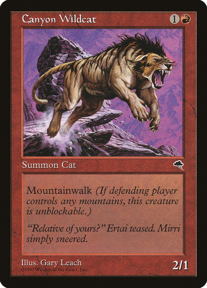 Canyon du Chat Sauvage [Tempête]
