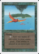 Oiseaux de paradis [Édition révisée]