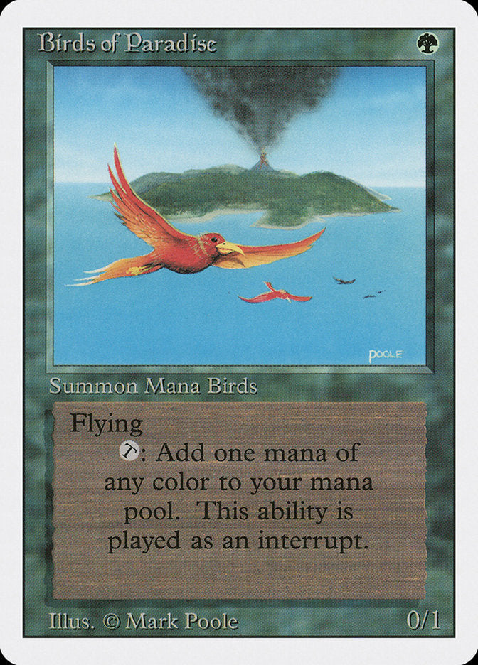 Oiseaux de paradis [Édition révisée]