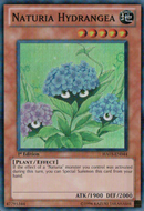Hydrangea Naturia [HA03-FR044] Super Rare