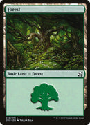 Forêt (32) [Duel Decks: Elves vs. Inventors]