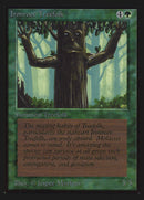 Gente Árbol de Raíz Férrea [Collectors' Edition]