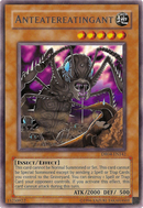 Mange-fourmis mangeur de fourmis [DR04-FR142] Rare