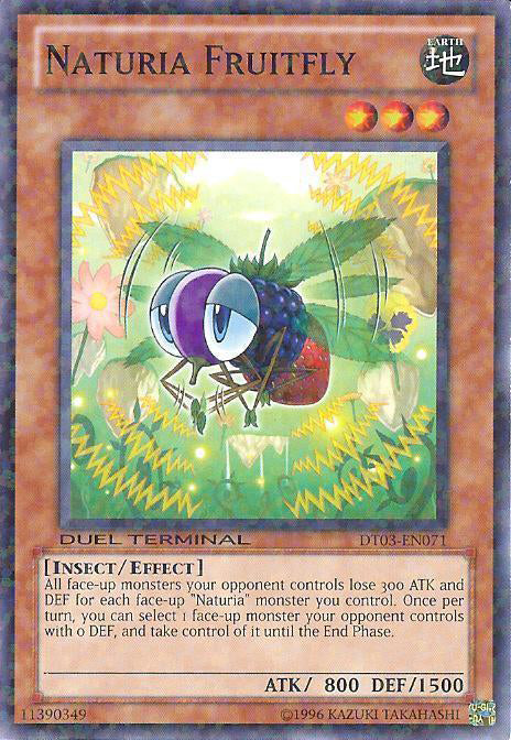 Naturia Mouche des fruits [DT03-FR071] Commune