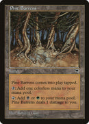 Pinelands [Tempête]