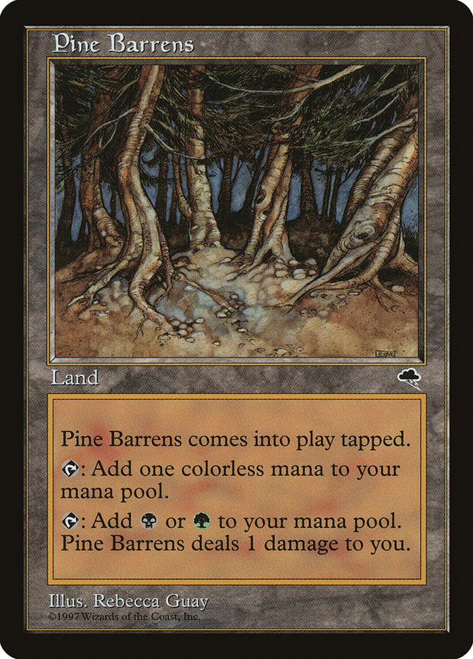Pinelands [Tempête]