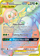 Archéduc et Noadkoko d'Alola GX (237/236) [Soleil et Lune : Harmonie des Esprits]