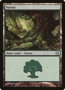 Forêt (113) [Duels of the Planeswalkers]