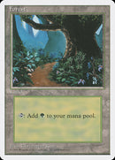 Bosque (Senda Florida) [Cuarta edición]