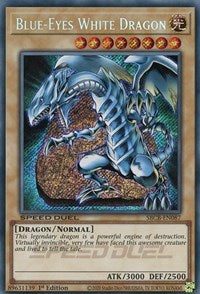 Dragon Blanc aux Yeux Bleus (Secret) [SBCB-FR087] Secret Rare