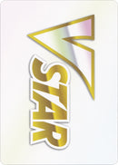 Image for VSTAR Token - Pokemon