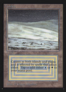 Tundra [Edición para coleccionistas]