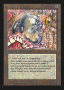 Mur végétal [Édition collector]