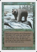 Les ours grizzlis [édition revue]