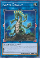 Dragón Ágave [MP19-SP191] Común