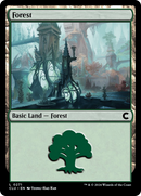 Forêt (0271) [Ravnica: Clue Edition]