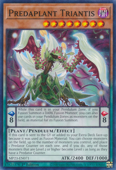 Predaplante Triantis [MP23-FR071] Commune