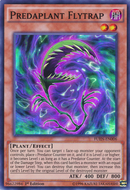 Predaplante Drosophyllum Hydra [FUEN-FR006] Super Rare