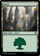 Forêt (0270) [Ravnica: Clue Edition]