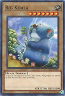 Gran Koala (25 aniversario) [IOC-EN004] Común