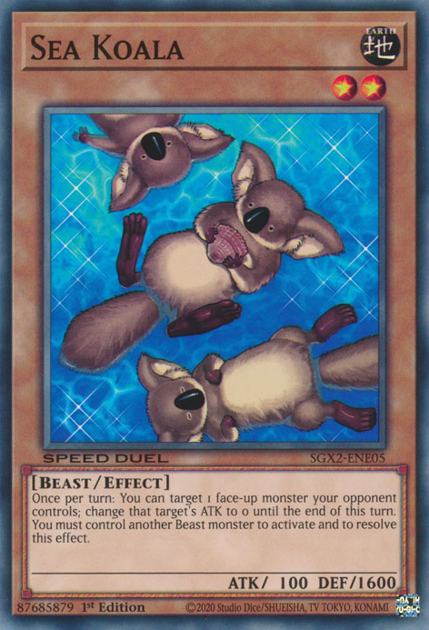 Koala Marino [SGX2-ENE05] Común