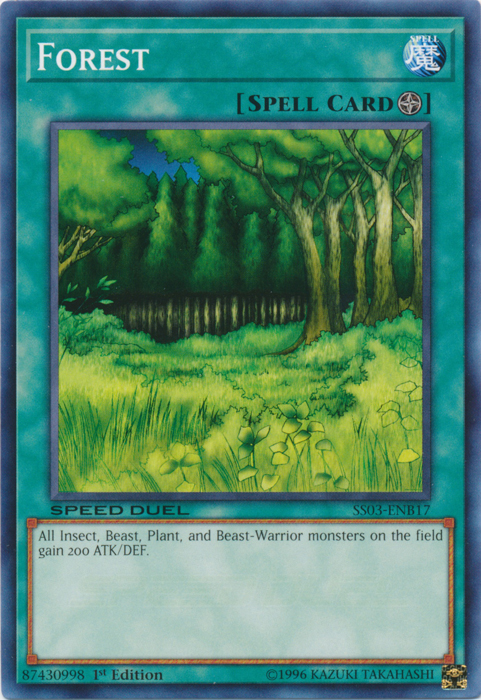 Forêt [SS03-ENB17] Commun