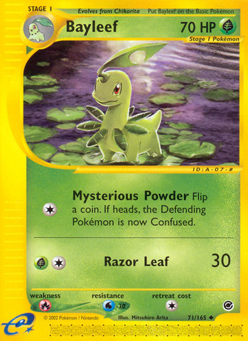 Bayleef (71/165) [Expedition: Básico]