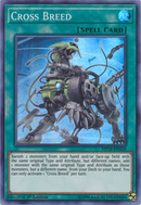 Mestizo [MP19-EN124] Super Rara