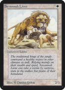 Lions de savane [Édition Alpha]