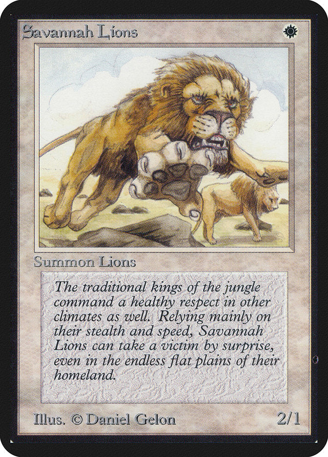 Lions de savane [Édition Alpha]
