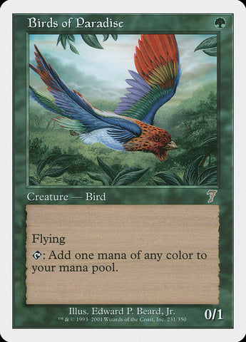 Aves del Paraíso [Séptima edición]