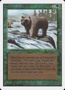 Ours Grizzly [Édition illimitée]
