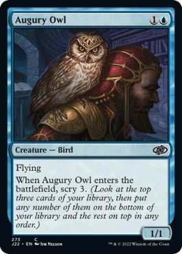 Hibou augure [Jumpstart 2022]