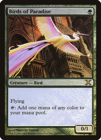 Aves del Paraíso (Premium Foil) [Décima Edición]