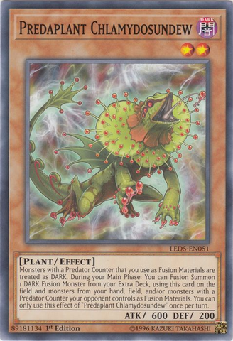 Predaplanta Chlamydosundew [LED5-EN051] Común
