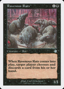Rats voraces [Starter 1999]
