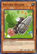 Naturia Antjaw [HAC1-FR097] Commune
