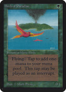 Oiseaux de Paradis [Édition Alpha]