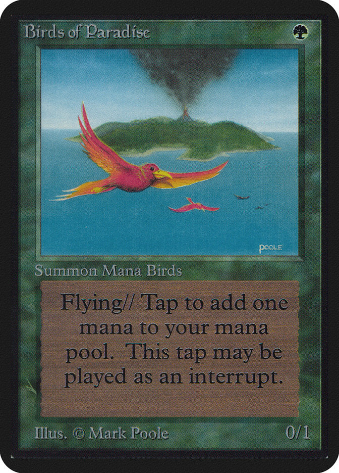 Oiseaux de Paradis [Édition Alpha]