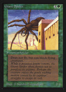 Araña Gigante [Edición Coleccionista]